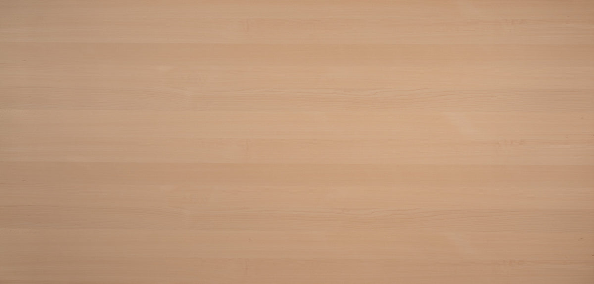 D´Hoatn Kollektion